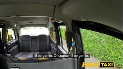 Fake Driver
